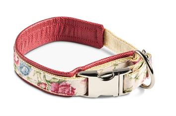 Halsband Niederlande rot Gr. 11