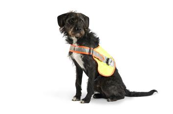Leuchtweste Hund LED L
