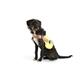 Gilet lumineux chien LED L