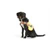 Gilet lumineux chien LED L