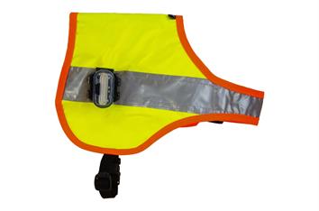 Gilet lumineux chien LED