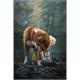Saucisses de dinde bio - 240 g | Bild 3